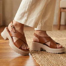 novastep